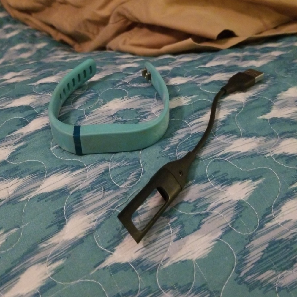 Fitbit Flex